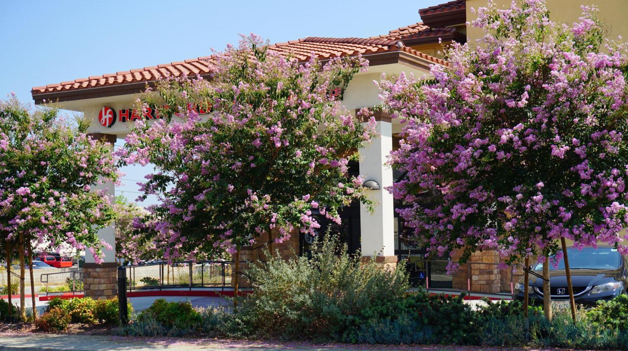 Hartford Hotel Best Western Signature Collection Rosemead Buitenkant foto
